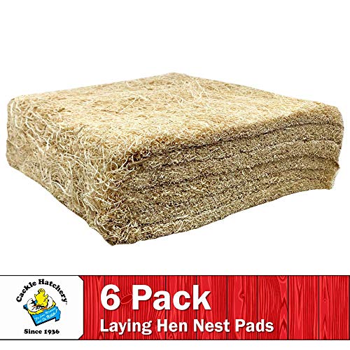 Cackle Hatchery Laying Hen Nest Box Pads Made in USA from Sustainable Aspen Exceslior - 13x13 Nesting Box Liners (6-Pack) - size: 6-Pack