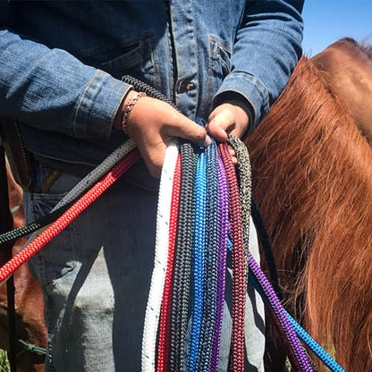PARELLI 12 Foot Training Rope - Strong Everyday Use All-Purpose Horse Lead Rope with Loop & Latigo Popper | 9/16" Diameter Smooth Yachting Braid, Black - color: Black