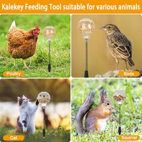 Kalekey 2 Pack Chicken Feeding Toy, Chicken Enrichment Toys with Spring and Ground Stake, Chicken Treat Dispenser Peck Toy for Hens Poultry Duck Birds Parrot Cat - size: 2 Pack