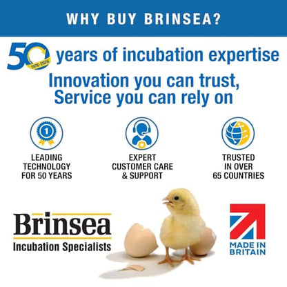 Brinsea Small Egg Insert Optional Accessory for Mini Advance Incubator System, Fits 12 Pheasant or Quail Size Eggs - size: Fits 12 Eggs, style: Mini Advance