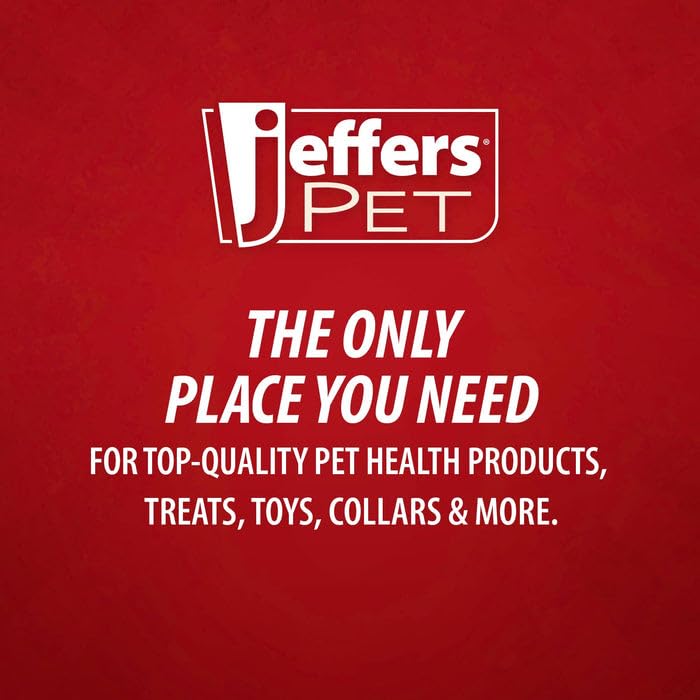 Jeffers Pet Plush Dog Toy with Squeaker, Christmas Snowman 12"- Durable & Safe for Puppies & Dogs, Holiday Stocking Stuffer, Soft Interactive Play, Fetch & Tug Pet Toy, Best Gift for Active Games - color: White Snowman