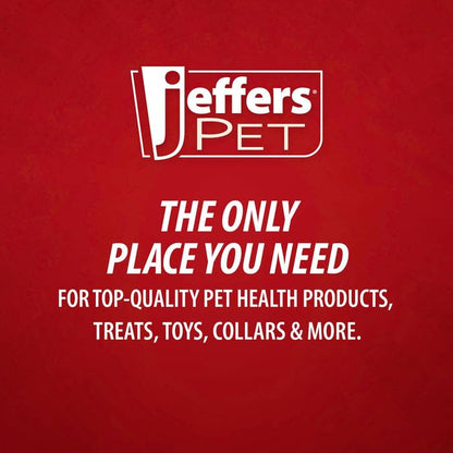 Jeffers Pet Plush Dog Toy with Squeaker, Fuzzy Bear 5" - Soft Crinkle Fabric, Safe & Durable, Healthy Fun for Small & Medium Dogs, Interactive Play, Fetch, Tug - Best Gift for Active Games - color: Blue Bear