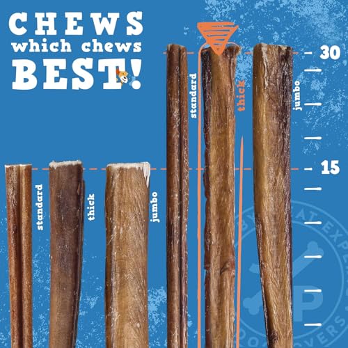Jack&Pup 12 Inch Bully Sticks for Dogs (3 Pack) Extra Thick Dog Chews Long Lasting, Odor Free, Single Ingredient, 100% Beef Bully Sticks for Large Dogs