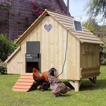 Solar Panel Accessory Empowers Coop with 6W 6V Charging - Easy Install, Sturdy Design & Efficient Energy, Harnessing Sustainable Power for Poultry Protection