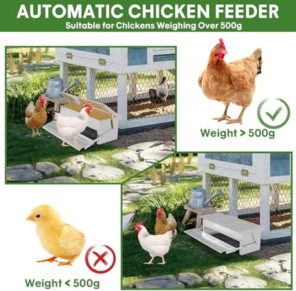 Stainless Steel Automatic Chicken Feeder, Treadle Chicken Feeder with Weatherproof Lid, No Waste Chicken Feeder, 15 lbs Poultry Feeder, for Chickens, Ducks, Fowl