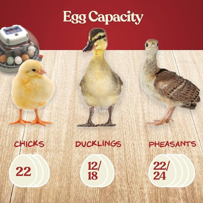 Harris Farms Nurture Right Egg Incubator for Hatching Chicks, Holds 12-22 Eggs, Automatic Turner with Temperature and Humidity Control, 360 Degree View with Clear Window, Incubator for Hatching Eggs