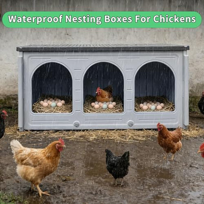 Rockever Nesting Boxes for Chickens, Plastic Nesting Boxes for Chicken Coop, Waterproof 3 Compartment Chicken Nesting Box for Laying Eggs for Hens, Ducks and Poultry