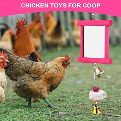 Chicken Toy Mirror | Chicken Mirror Beak Grinding Molar Stone,Safe Multi Functional Roosters Hens Entertainment for Garden Farm Outdoor Space