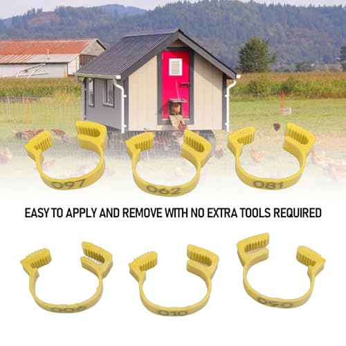 100PCS 20mm Chicken Leg Bands, 001 to 100 Numbered Colorful Chicken Birds Poultry Identification Leg Bands for Chicks Ducks Pigeons Goose Quail Yellow (Yellow) - color: Yellow