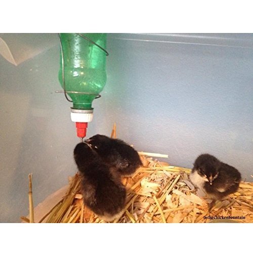 Brooder Bottle Cap - Set