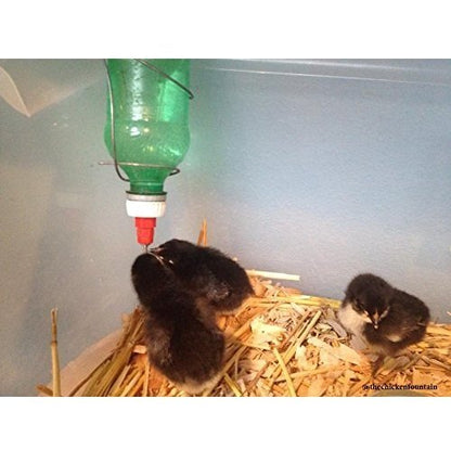 Brooder Bottle Cap - Set