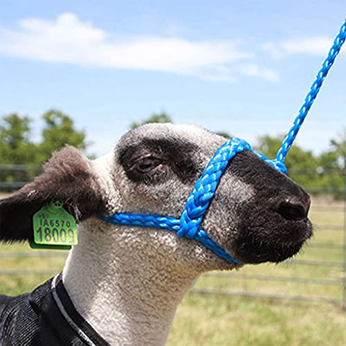 Sullivan's Soft Braid Sheep & Goat Halter - color: Blue