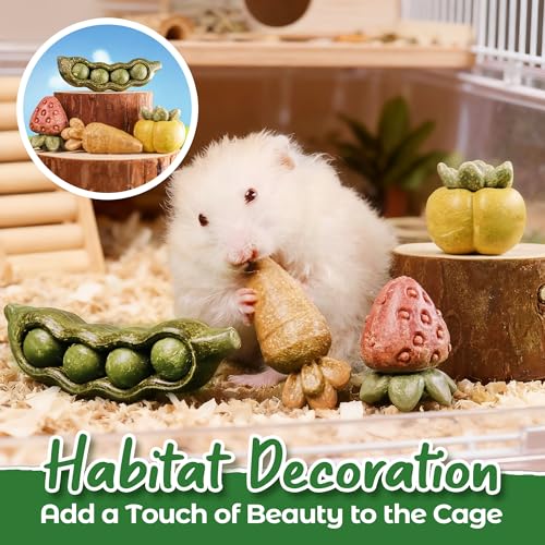 TEEWY 4PCS Guinea Pig Toys, Hamster Chew Toys, Natural Plant-Based Guinea Pig, Hamster, Rat & Chinchilla Toys for Teeth Grinding and Play - style: 4PCS-Fruit & Vegetable