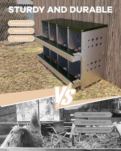 PioneerWorks Wall-Mountable Rollaway Chicken Nesting Box, 8-Compartment Metal Hen Nest Box with Roll-Out Egg Collection, Weatherproof & Ventilated Design for Chicken Coops, Green
