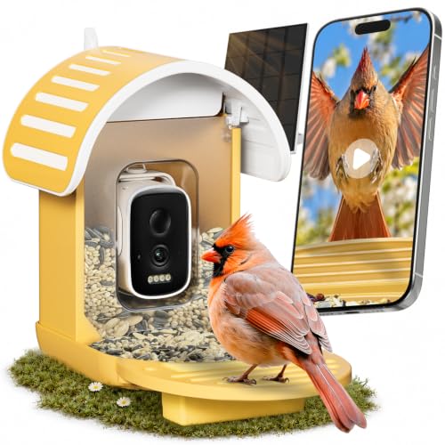 Smart Bird Feeder with Camera, Yellow | 2.5K UHD, AI Identifies 11,000+ Bird Species, Real-time Videos & Pictures, Solar Powered, Wireless for Outdoor, Gift - color: Yellow