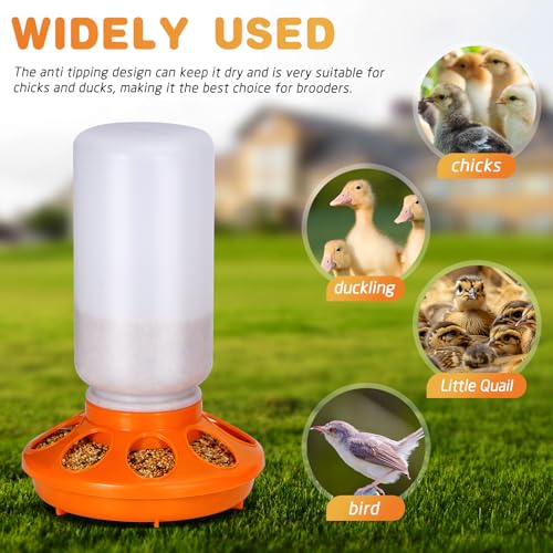 Chick Feeder and Waterer Kit, 2-in-1 Chick Starter Set, 0.3Gal Chicken Feeder and Waterer Set, Baby Chick Starter Kit for Poultry (Orange, 1L) - color: Orange