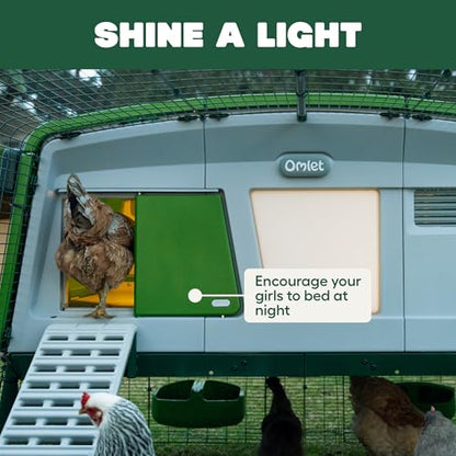 Omlet Coop Light for the Automatic Chicken Coop Door Opener | Gentle Hen House Lighting Encourages Flock to Roost | Poultry Chicken Coop Accessories | Light Only – Door Opener Sold Separately
