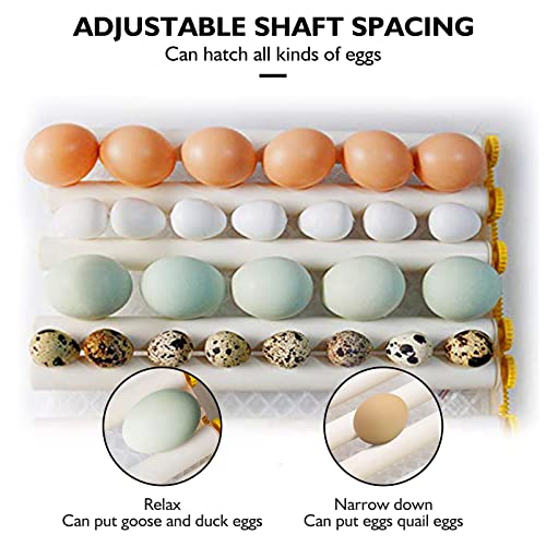 Egg Incubator,Egg Incubator with Automatic Egg Turning and Humidity Control,Poultry Hatcher for Chickens Ducks Birds (180 Eggs) - size: 180 Eggs