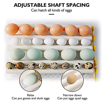 Egg Incubator,Egg Incubator with Automatic Egg Turning and Humidity Control,Poultry Hatcher for Chickens Ducks Birds (180 Eggs) - size: 180 Eggs