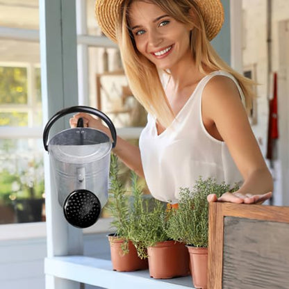 1 Gallon Metal Watering Can with Removable Spout, Nice Galvanized Steel Water Can for Indoor and Outdoor Plants (House Plants) - color: Silver