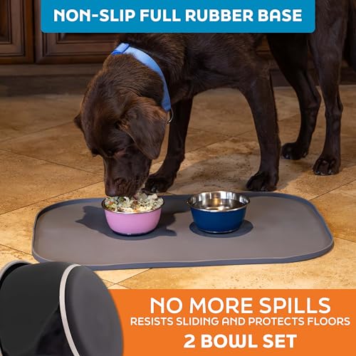 Master Pet Supply Stainless Steel Dog Bowls Set of 2 (16 Oz Each) with Non-Slip Rubber Base - Black Velvet - Basic Dog Food Bowl Water & Food Bowls for Small Medium Large Dogs & Cats, Metal Dish - color: Black Velvet, size: 2 Cups (16 oz) 2 Pack