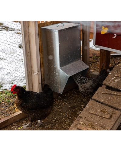 vensovo Galvanized Chicken Feeder - 25Lbs Outdoor Waterproof Metal Feeder with Lid, Coop Food Dispenser No Waste for Chicken, Haning or Stand