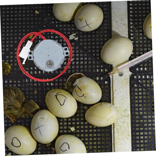 LIOOBO 110v Convenient Motor Part for Incubator for Farm Use and Egg Turner Device