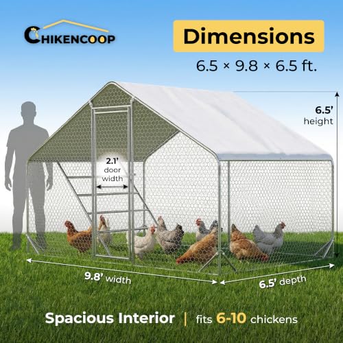 Walk-in Large Metal Chicken Coop for 1-10 Chickens, 10' x 6.6' x 6.6' Heavy Duty Poultry Cage with Elevated Roosting Perch & Waterproof Cover, Reinforced Steel Outdoor Backyard Run Pen - size: 118.0"L x 80.0"W x 80.0"H