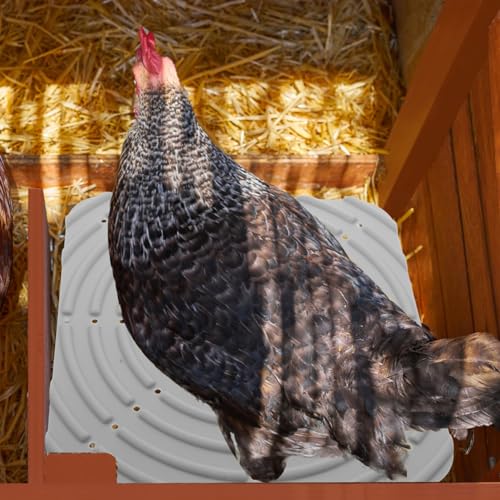 VICASKY Chicken Nesting Pad Washable Silicone Mat Nest Box Liner for Laying Hens Pet Mat Nesting Box Supplies