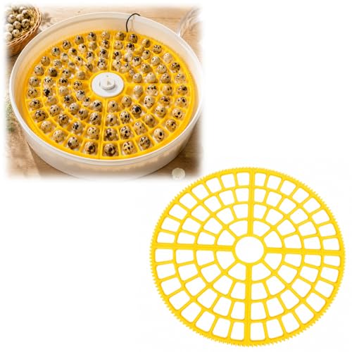 Large Incubator Quail Egg Tray - Compatible with Brinsea Maxi II / 24 Advance Round Incubators - Holds 80 Standard Quail Eggs