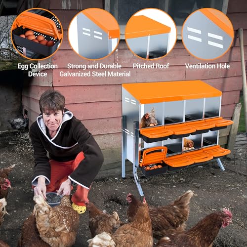 8-Hole Chicken Nesting Box, 2-Tier 8 Compartment Metal Roll Away Egg Laying Box with Lid & Legs, Easy Egg Collection, Galvanized Steel Rustproof Poultry Laying Boxes for Hens, Ducks, Farm, Yard - size: 8 holes with legs-Orange