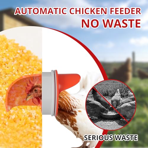 85 lbs Large Automatic Chicken Feeder, No Waste Gravity Fed Poultry Feeder with Latch & Handle, Rat Proof Galvanized Weatherproof Feeder for Chickens, Bantams, Poultry Coop, 6 Ports (Wall-mountable) - color: 6 Ports