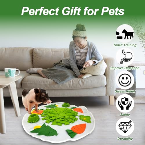 Snuffle Mat for Mini Pig,Pig Toys for Mini Pigs,Mini Pig Supplies,Pet Treats Feeding Mat,Puzzle Toys Encourages Natural Foraging Skills,23 X 23 Inches(White and Green)