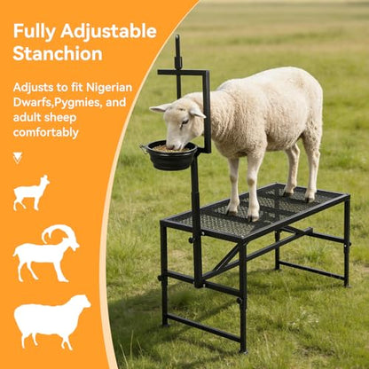 Goat Milking Stand with Feed Bin, 600 LBS Heavy Duty Sheep Trimming Stand, Adjustable Headpiece Livestock Stanchion, Stable Metal Hoof Trimming Platform for Grooming & Shearing, Farm Equipment