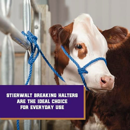 Weaver Livestock Poly Rope Breaking Cattle Halter, Adjustable, Modern Style Cow Calf Halter, Livestock Handling Equipment for Showing, Blue - color: Blue