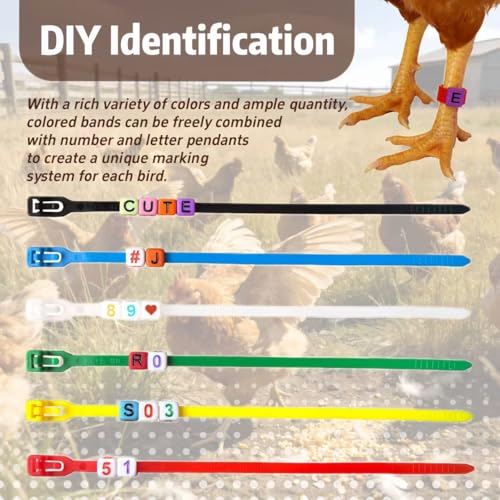 120 Pcs Adjustable Chicken Leg Bands, Colorful Poultry Identification Leg Bands with Number & Letter Charms for Chicken Duck Turkey Goose Farm Supply