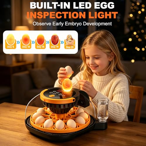 12-Egg Smart WiFi Egg Incubator with 1080p HD Camera, App Control, Auto Turner, Built-in Candler, Temp & Humidity Control, 360° View for Chicken Duck Quail, STEM Toy, 8GB SD Card Included