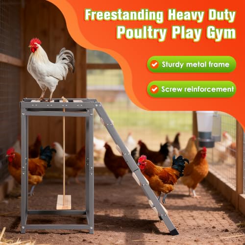 Chicken Coop Perch with Swing & Ladder for 6 to 10 Chickens