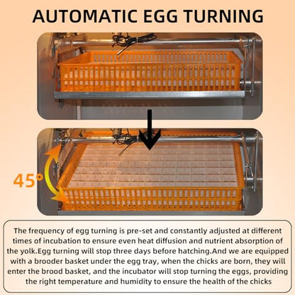 XKV 352 Egg Incubator with Automatic Egg Turning,Temperature Control and Humidity Control,Hatching Eggs,Chicken,Ducks,Poultry,Industrial Brooding Machine Chicken Incubator for Farm,Lab,Home,Indoor - size: 352 Egg-235L