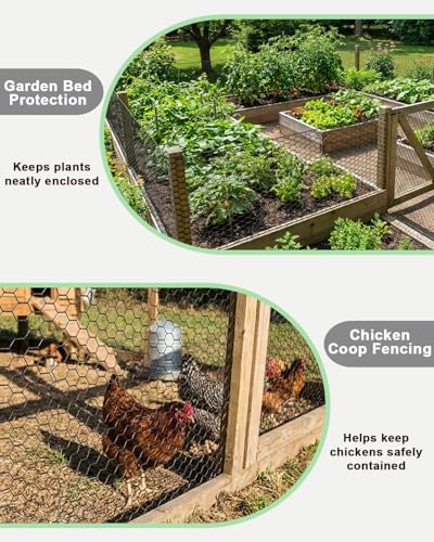 Vensovo Black PVC Coated Chicken Wire, 36in x 150ft Poultry Netting Roll, 1 inch Hex Mesh Garden Fence for Chicken Coop, Rabbit Pen, Yard - size: 36 inchx150 Ft