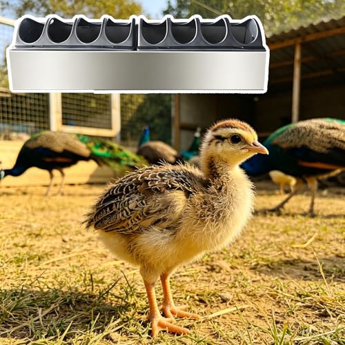 Peacock Feeder Trough for Meal Worms, Multi-Compartment Chicken Coops Water Trough, Rust-proof Anti-waste Chick Feeder, Easy to Clean(L40cm/15.7") - size: L40cm/15.7"