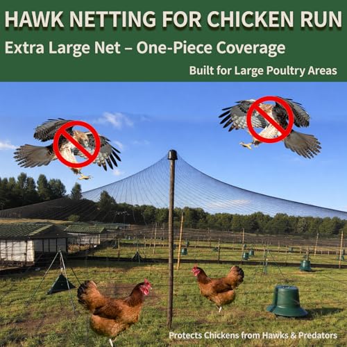 25x50ft Bird Netting for Chicken Coop 1 inch Mesh Heavy Duty Chicken Netting Animal Barrier, Poultry Netting Roof Cover for Chicken Run, Bird Net for Fruit Tree Against Birds Squirrels Rabbits - size: 25x50FT-1"