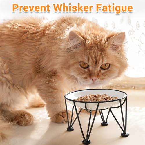 Elevated Ceramic Cat Bowls – Whisker-Friendly & Anti-Vomiting, Non-Slip Raised Cat Food Dishes – Stylish, Safe & Hygienic Feeding Set (2-Pack) - color: fishbone+cat paw, size: anti-slip raised dish,2 pack