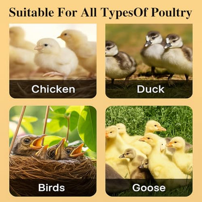 Adjustable 16x16 Brooder Heating Plate for Baby Chicks | Constant Efficient Warmth, Safe Energy-Saving, Easy to Assemble and Clean, Perfect for Chicken Brooding