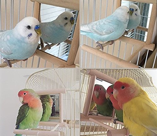 Hypeety Bird Parrot Mirror Toy Swing Hanging with Perch for Parrot Parakeet Budgies Cockatiel Conure Finch Lovebird (D) - color: Wooden Mirror with Perch