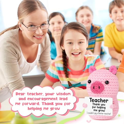 GevGuxLuo Funny Positive Pig Teacher Appreciation Birthday Gifts for Women | Back to School Thank You Gifts for Teachers End of Year, Handmade Crochet Pig Gift for Female Mother Positive Small Decor - style: Teacher