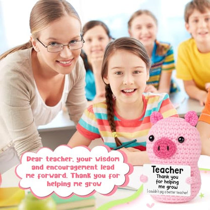 GevGuxLuo Funny Positive Pig Teacher Appreciation Birthday Gifts for Women | Back to School Thank You Gifts for Teachers End of Year, Handmade Crochet Pig Gift for Female Mother Positive Small Decor - style: Teacher