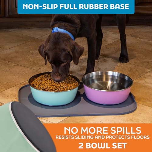 Master Pet Supply Stainless Steel Dog Bowls Set of 2 (128 Oz Each) with Non-Slip Rubber Base - Pistachio - Basic Dog Food Bowl Water & Food Bowls for Small Medium Large Dogs & Cats, Metal Dish - color: Pistachio, size: 16 Cups (128 oz) 2 Pack
