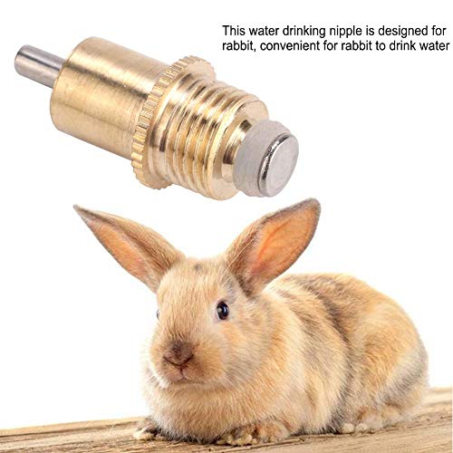 20Pcs Stainless Steel Rabbit Water Feeder Automatic Rabbit Drinker Nipple Easy Use Drinking Water Tool for Small Animals Farm Animal Supplies