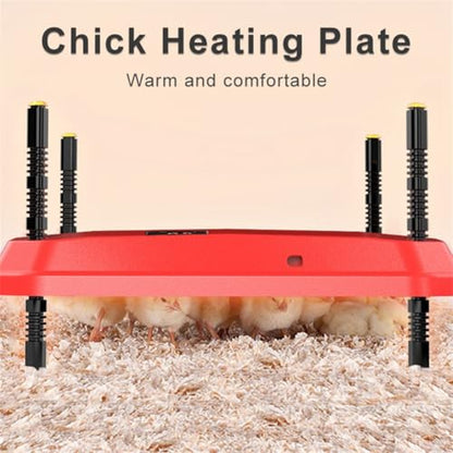 Electric Chick Brooder Heating Plate Adjustable Height Chick Cage Heater Chicken Warmer US Plug